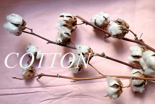 Cloth: Cotton