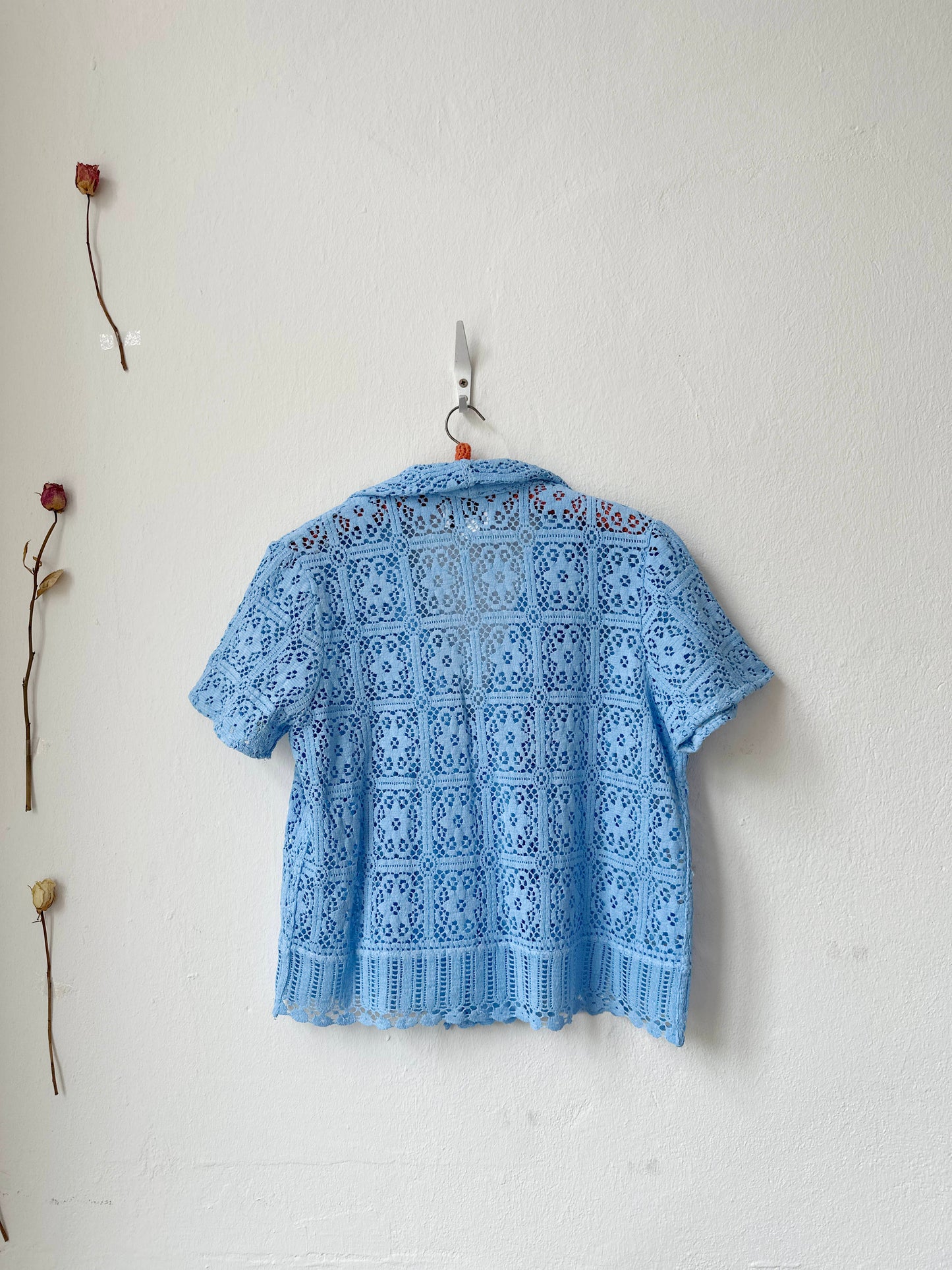 Blue lace shirt hanging on a white wall with two dried flowers.
