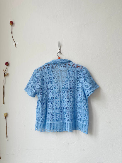 Blue lace shirt hanging on a white wall with two dried flowers.